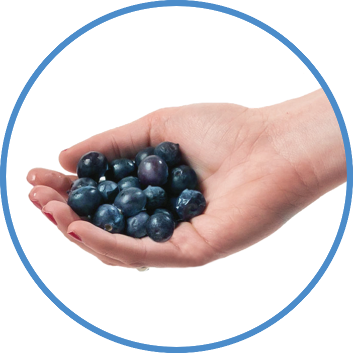 Hand-holding-fresh-blueberries.png