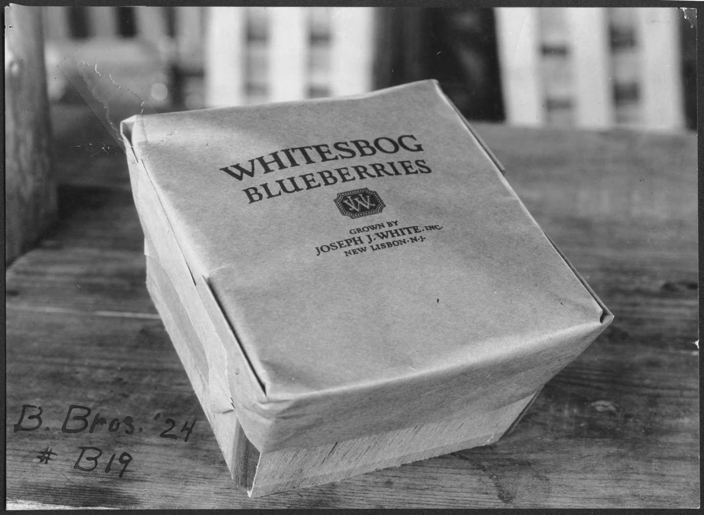 Black-and-White-Photo-of-Whitesbog-Highbush-Blueberry-Package-in-1922-1440x1054.jpg